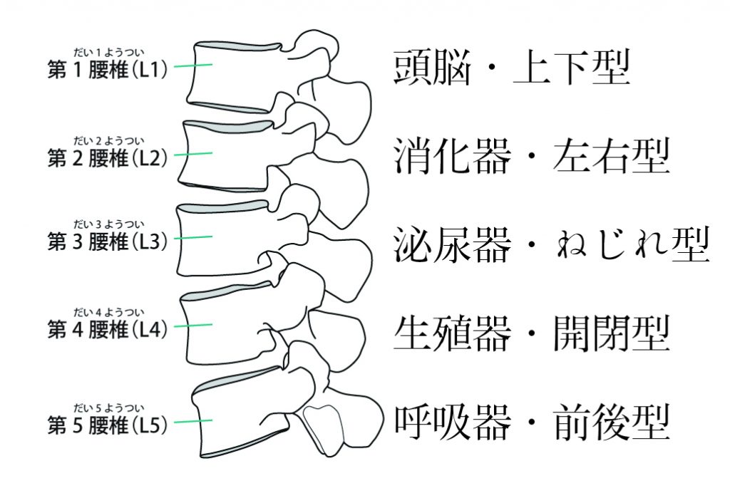 あなたは何タイプ こころとからだの長所短所が分かる身体タイプ診断 ハラ生き研究所